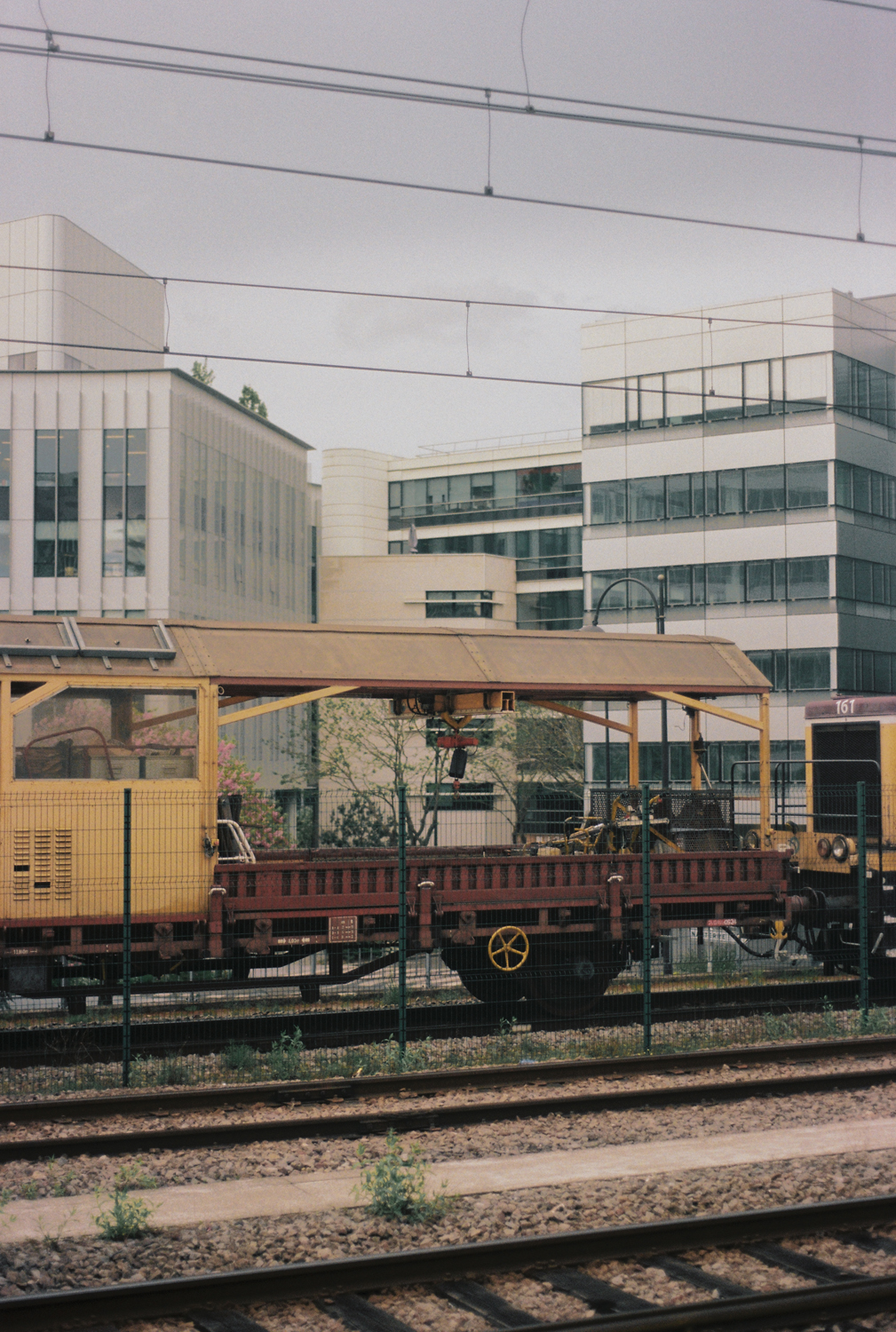 Marta Skoczeń artiste photographe art