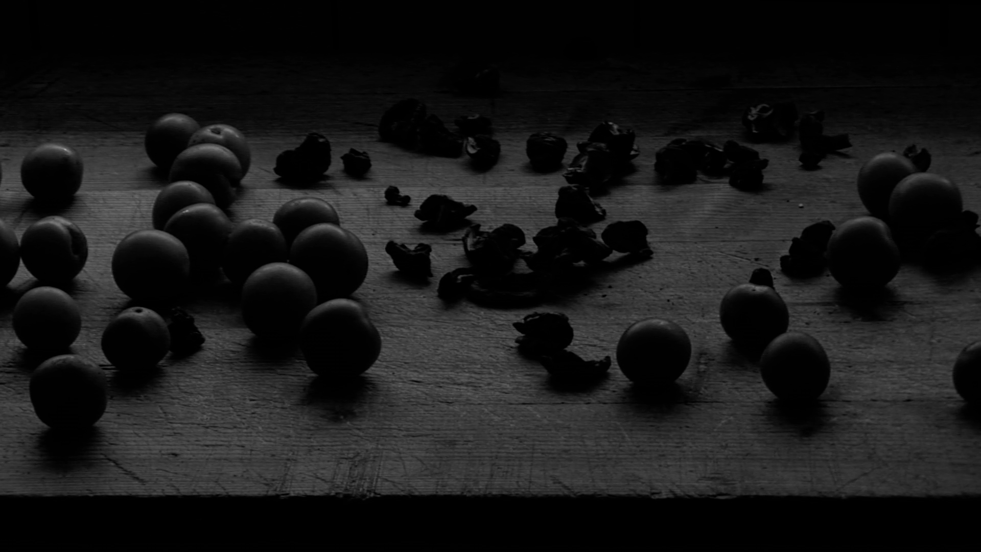 Marta Skoczeń artist film video art Maison sans clé