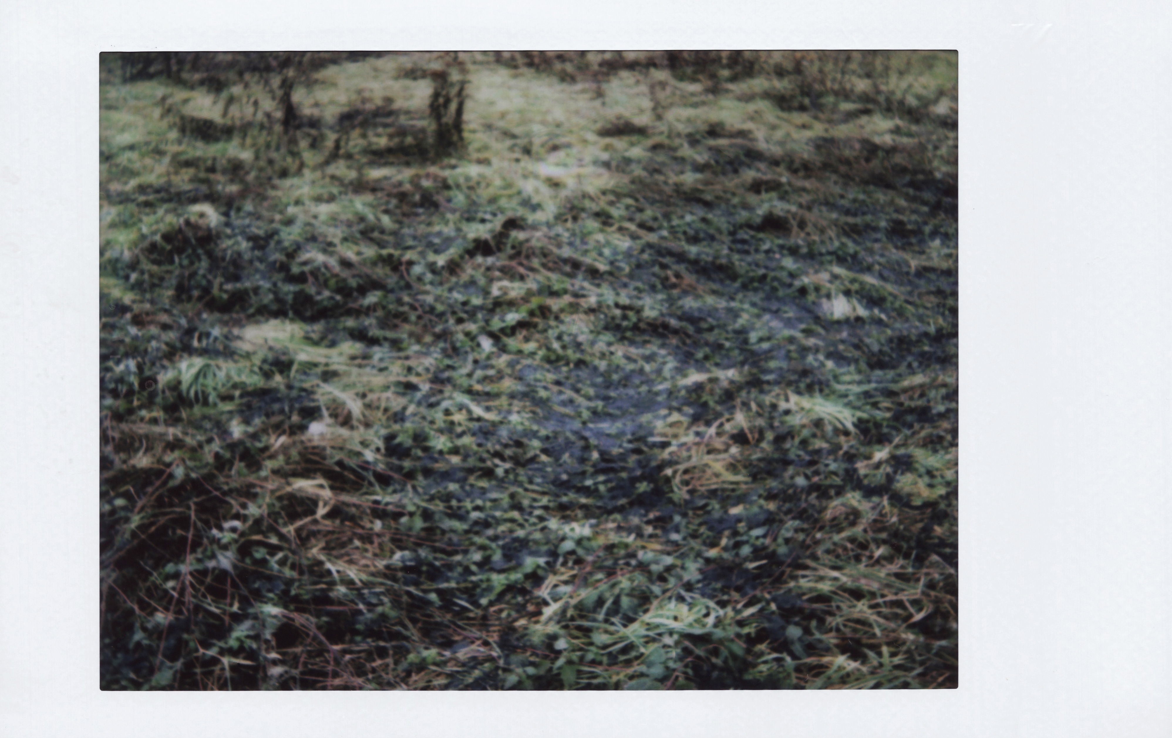 Marta Skoczeń artiste photographe art instax