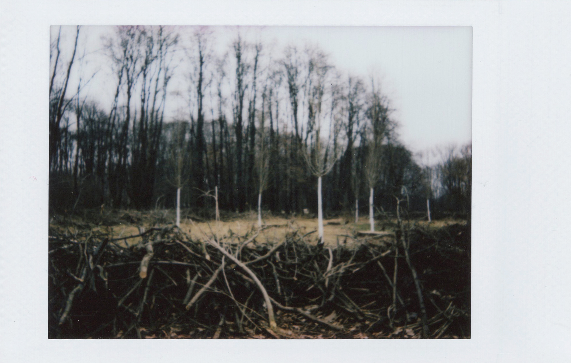 Marta Skoczeń artiste photographe art instax