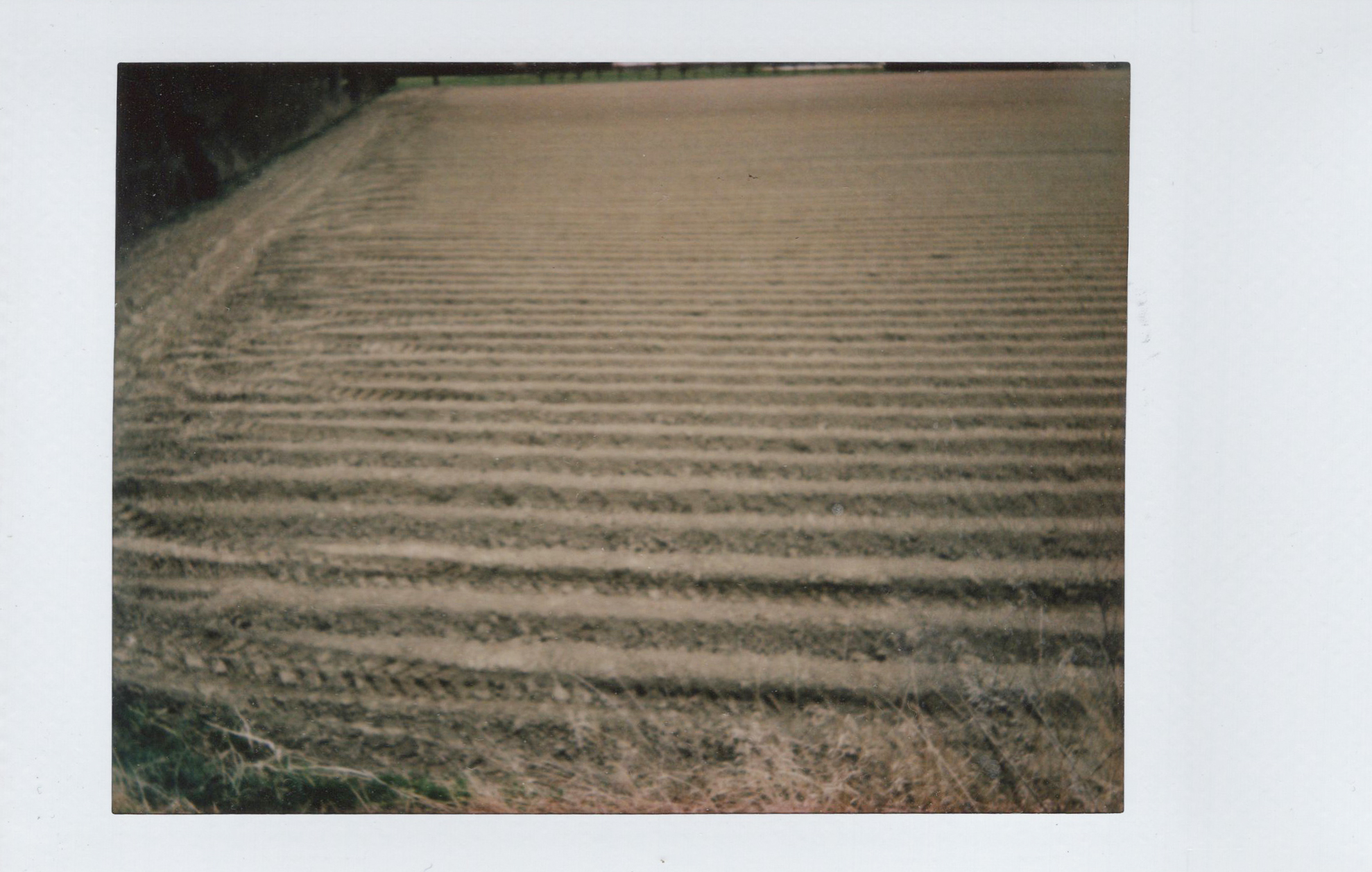 Marta Skoczeń artiste photographe art instax