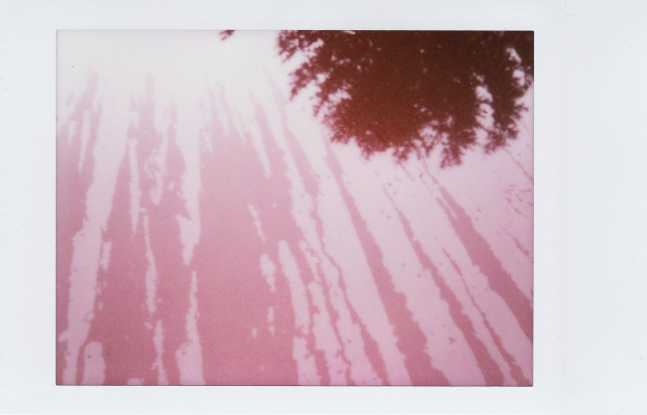 Marta Skoczeń artiste photographe art instax