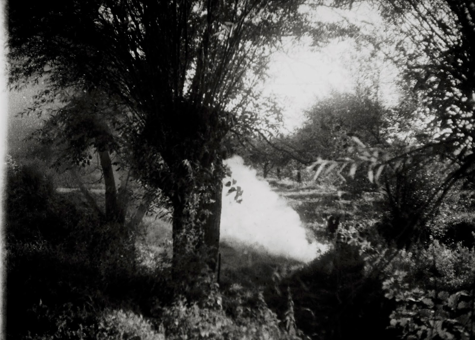 Marta Skoczeń artist photographer Past Tense analogue