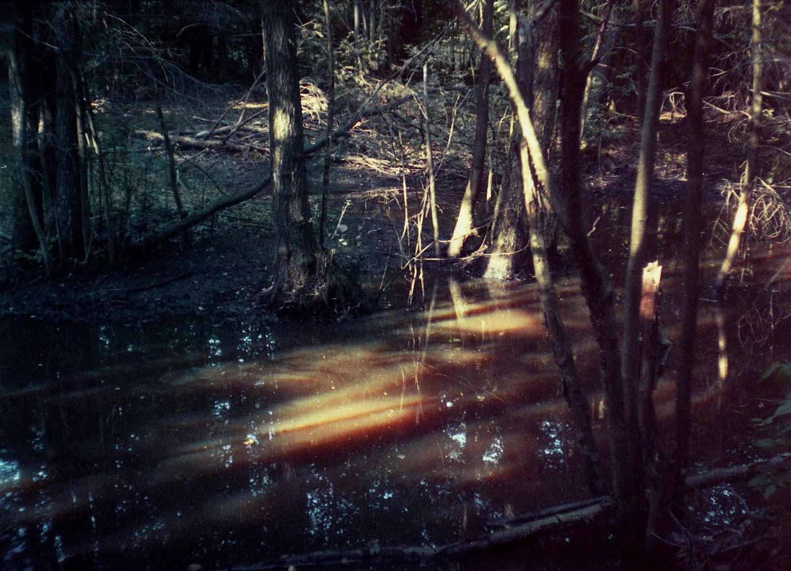 Marta Skoczeń artist photographer Past Tense analogue