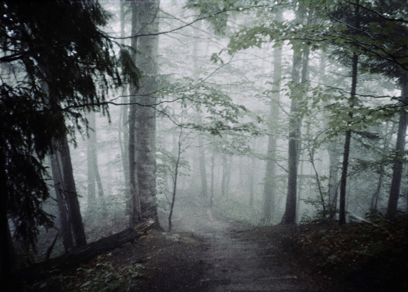 Marta Skoczeń artist photographer Past Tense analogue