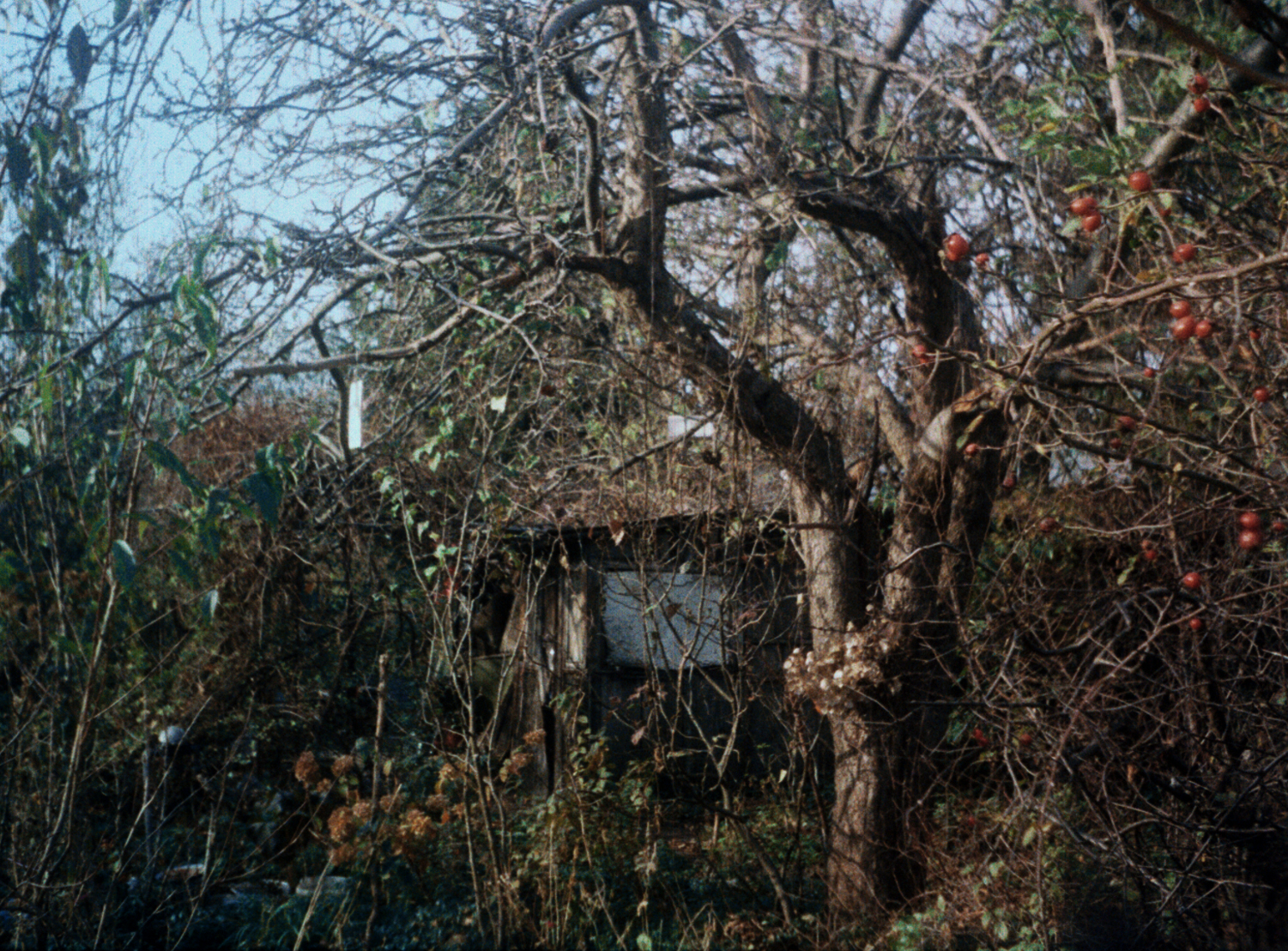 Marta Skoczeń artist photographer Past Tense analogue