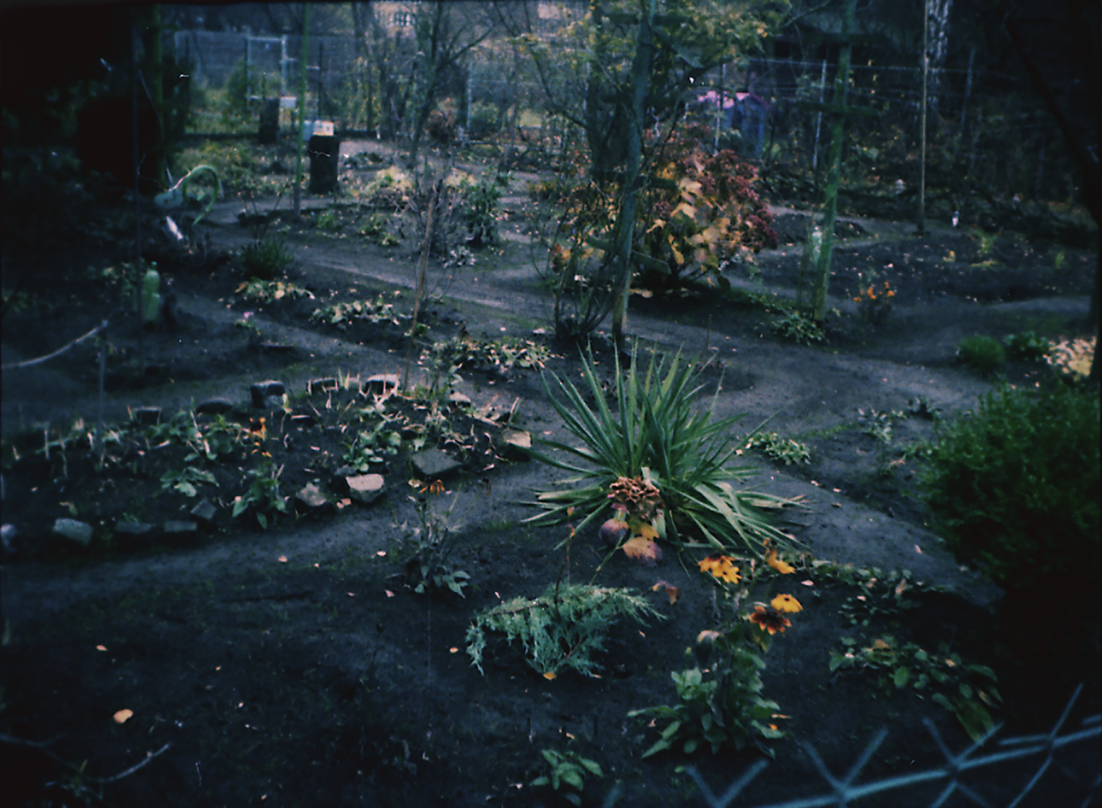 Marta Skoczeń artist photographer Past Tense analogue