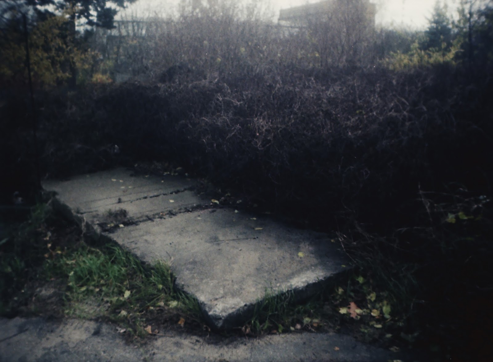 Marta Skoczeń artist photographer Past Tense analogue