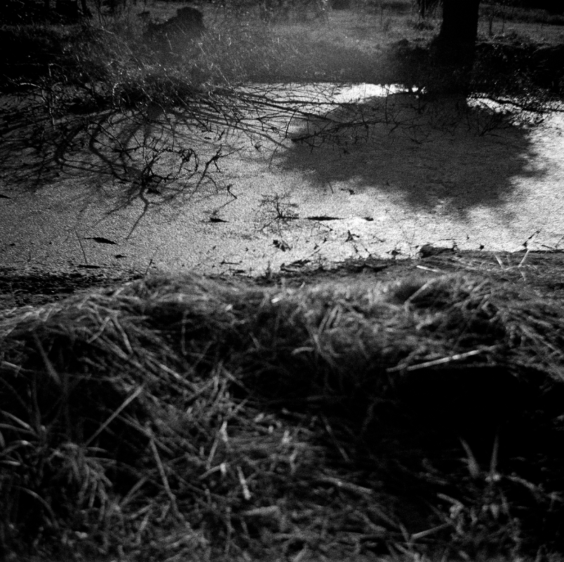 Marta Skoczeń analogue photography Presence photographer fine art