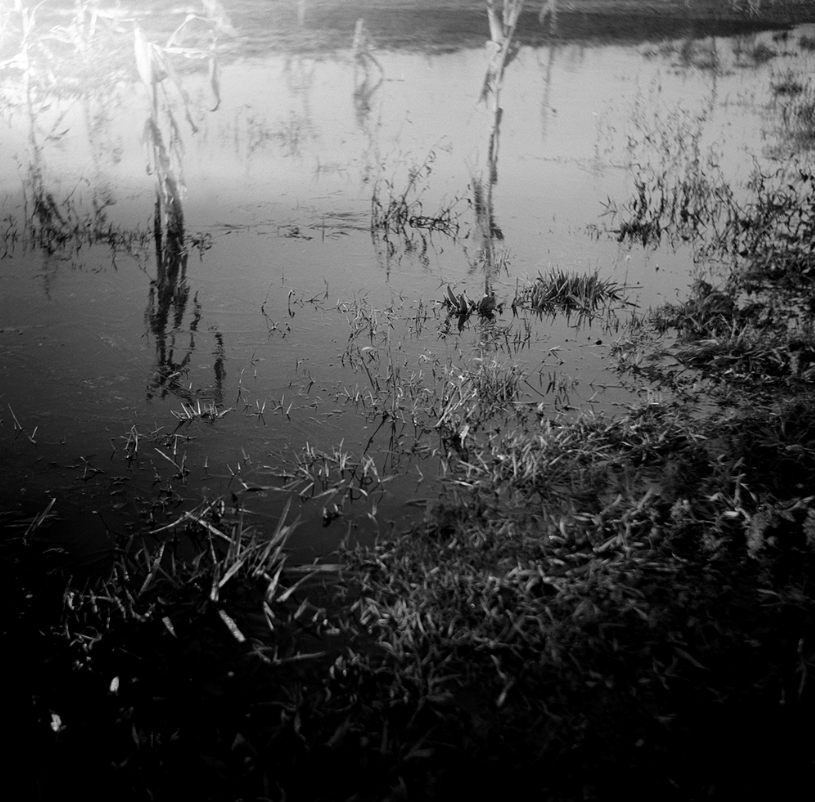 Marta Skoczeń analogue photography Presence photographer fine art
